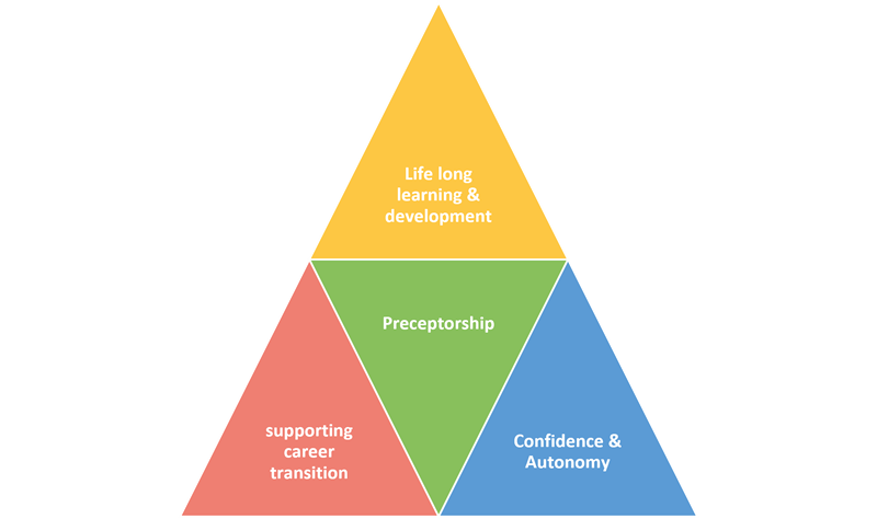 Preceptorship-structure.png