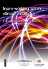 Team Working within clinical imaging: A contemporary view of skills mix