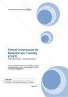 VERT Final Project Report – Executive Summary