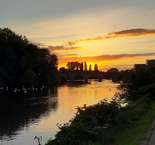 The sun setting over a winding river with trees either side and on the horizon.