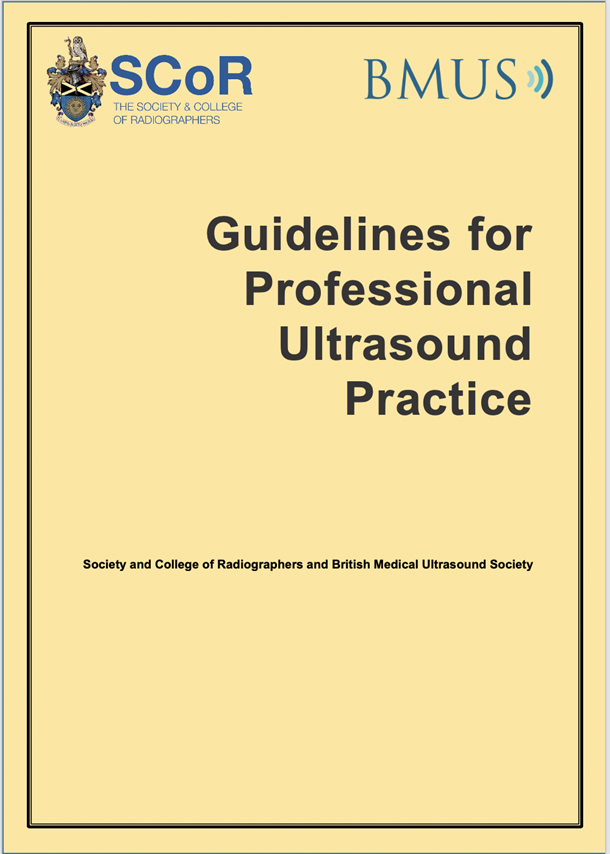 Guidelines for Professional Ultrasound Practice